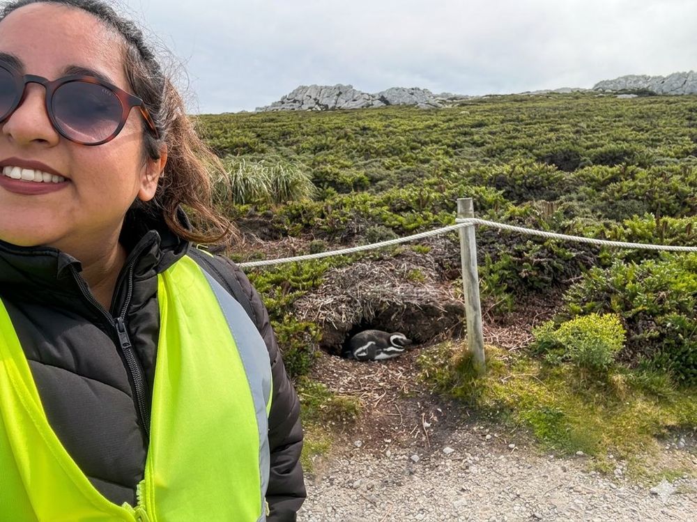Camila, the Stanley on Foot walking guide, in a hi-vis vest beside a Magellanic penguin on its nest, East Falkland